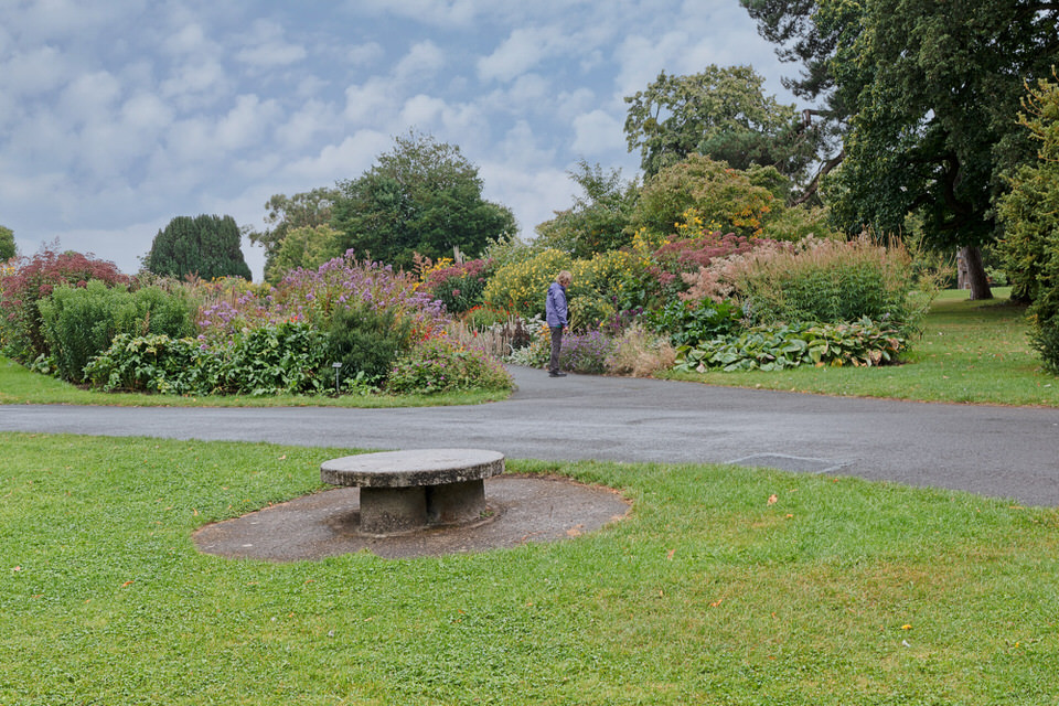 Random Images Of The Botanic Gardens