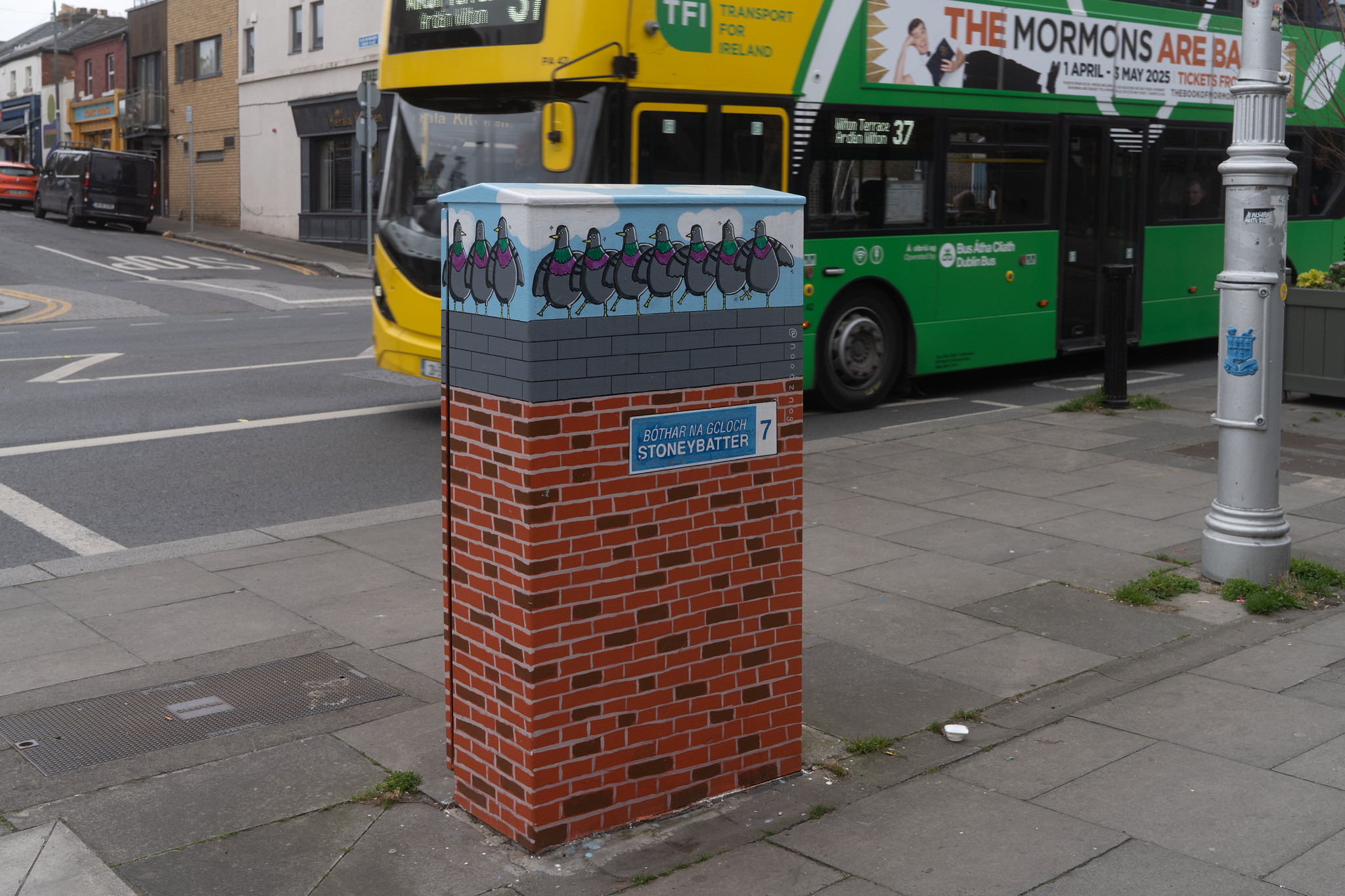 Pigeons About to Depart the Pigeon House at 30 Manor Street
