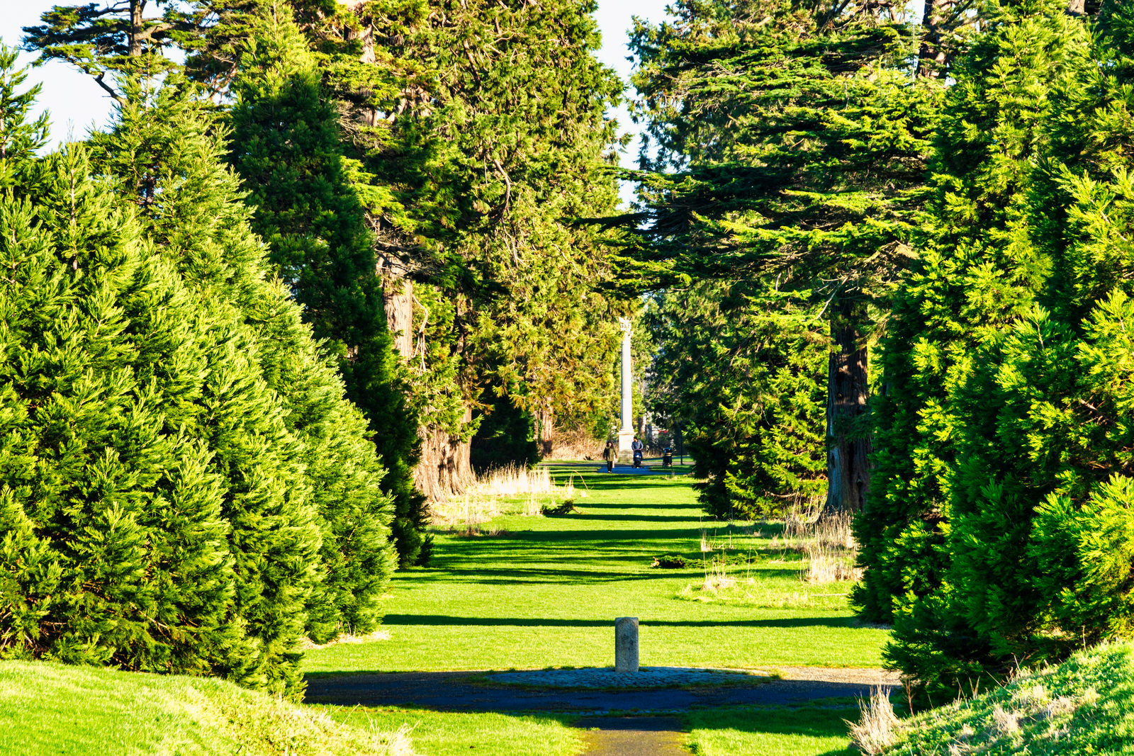 Santry Demesne Public Park And The Phoenix Folly