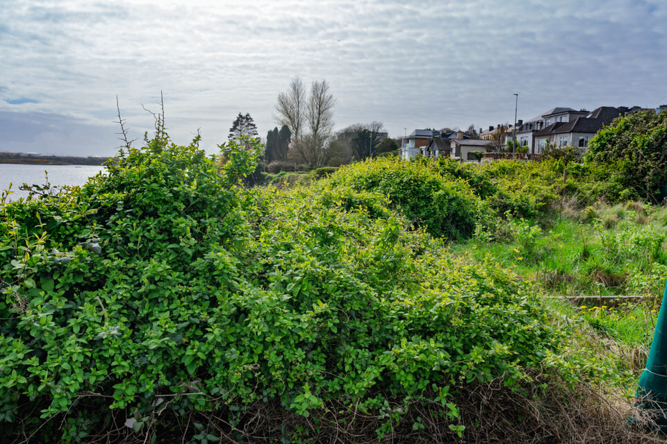 Atalia Road In Galway April 2026