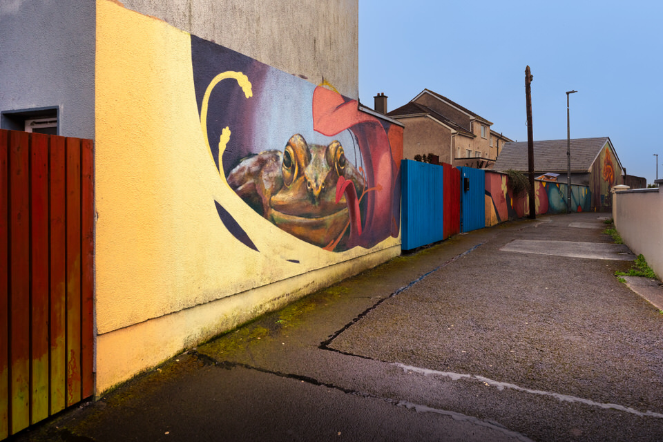  Cabbage Lane Murals 