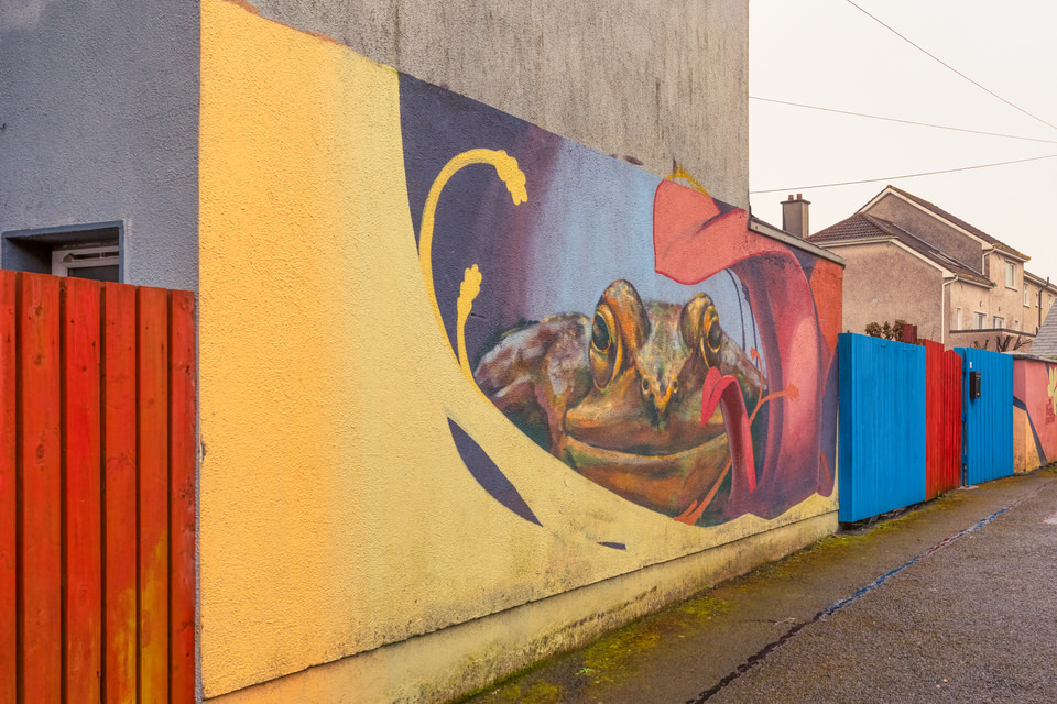 Cabbage Lane Murals