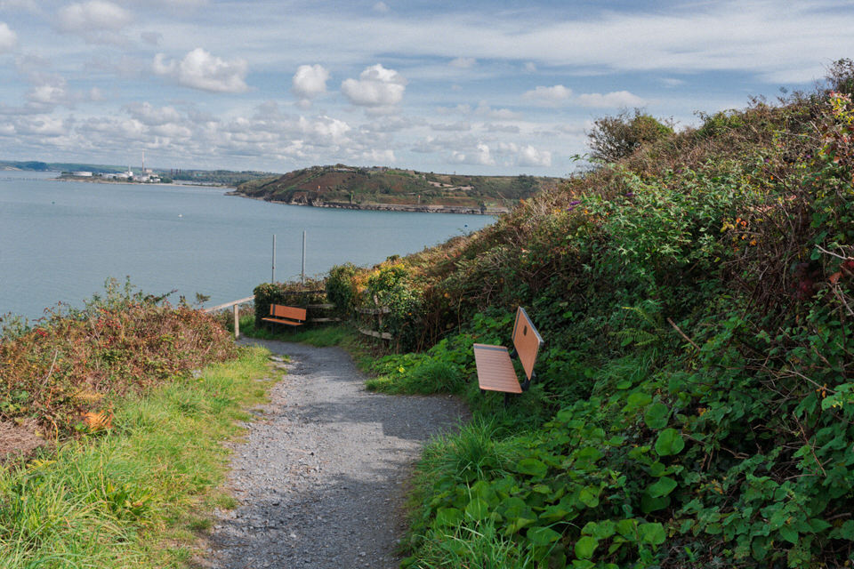 Cork Harbour As Seen From Fort Meagher