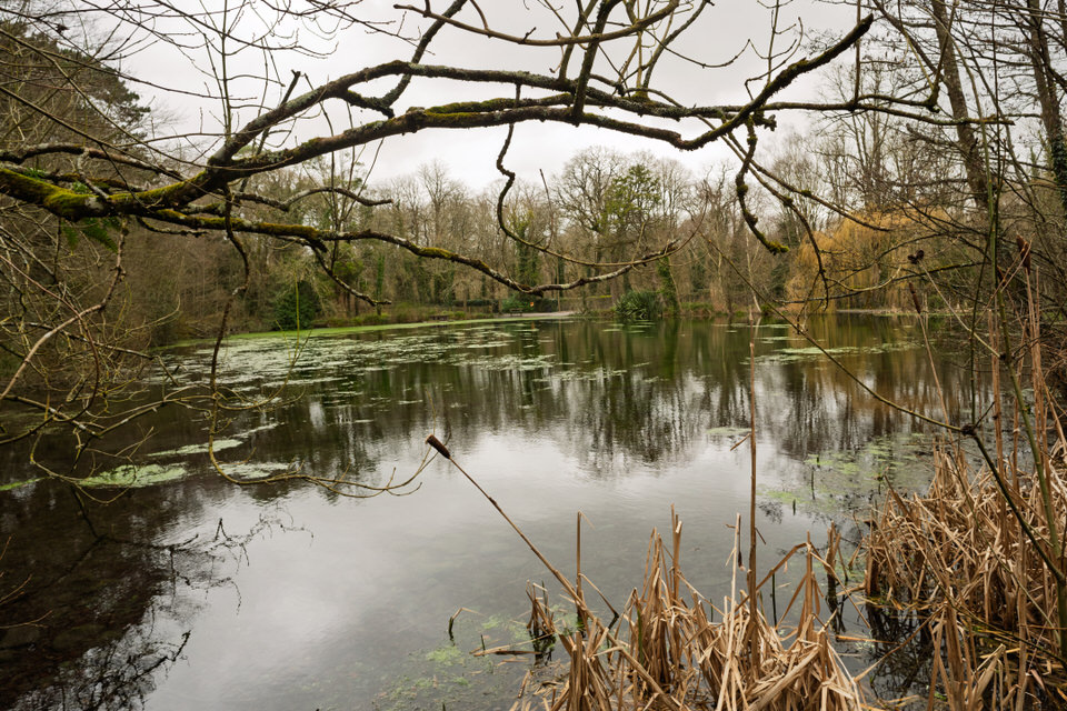 The Duck Pond At Kilkenny Castle Park