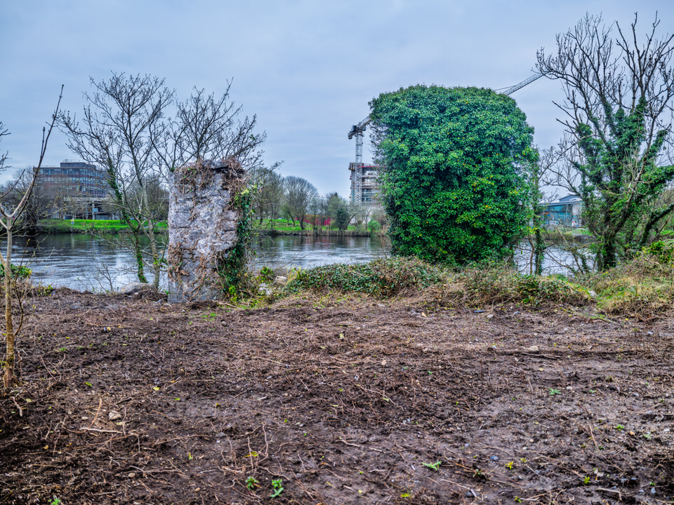 Dyke Road Has Changed Since 2019
