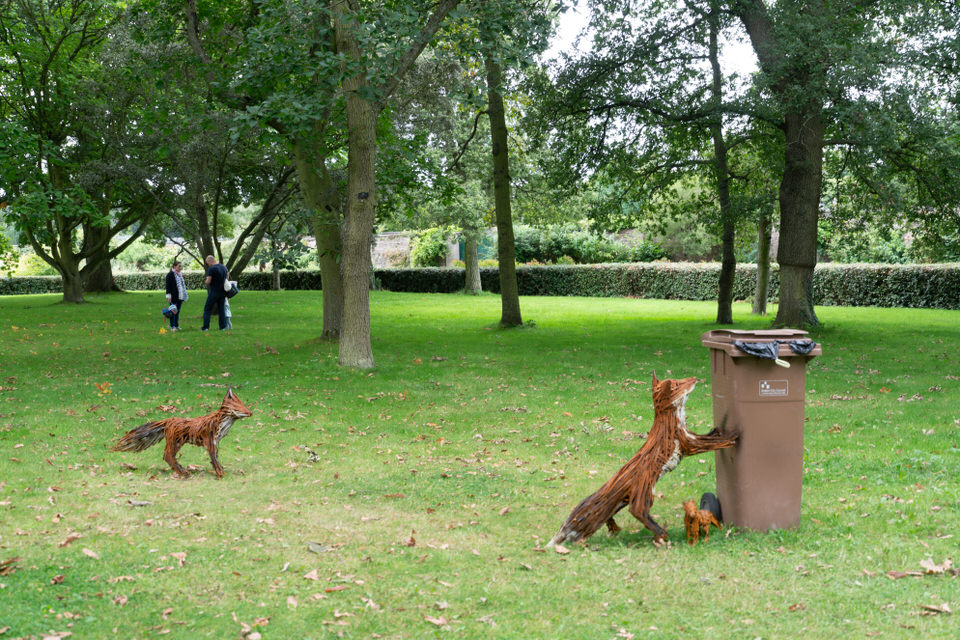 Urban Safari By Brian And Eoin Byrne