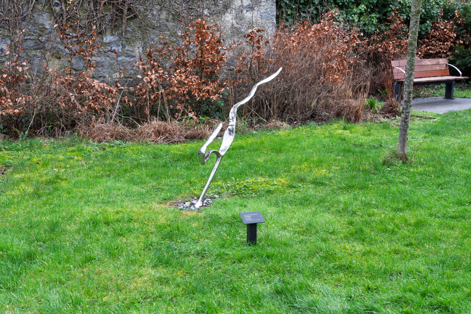  Hare By Ani Mollereau 
