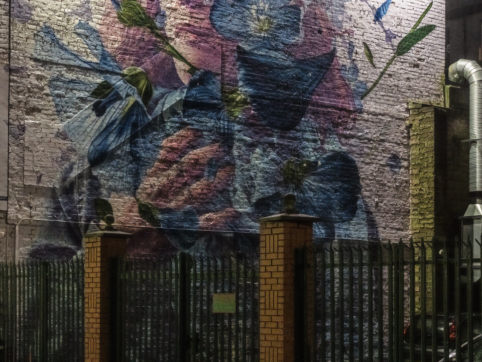  In Your Face Mural On South James Street 