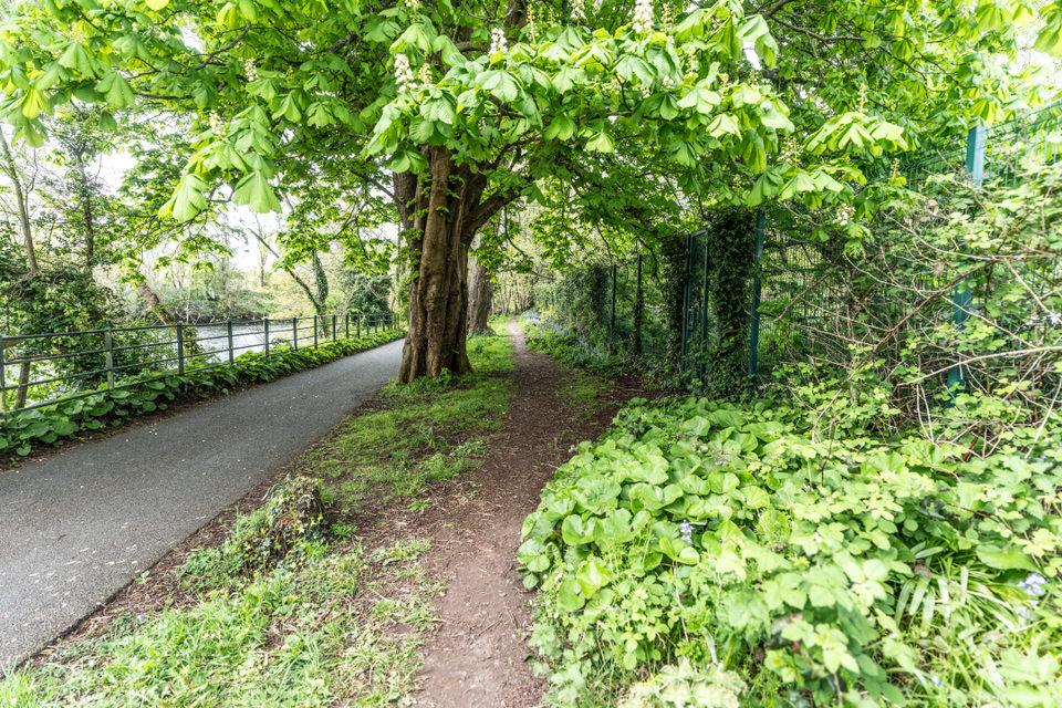  A Stroll Along Slí Chumann na mBan