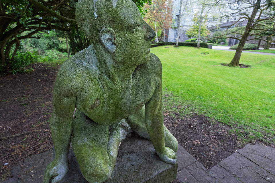 Figure Talking to a Quadruped At UCC