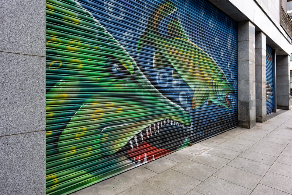 Examples Of Paint A Shutter Street Art