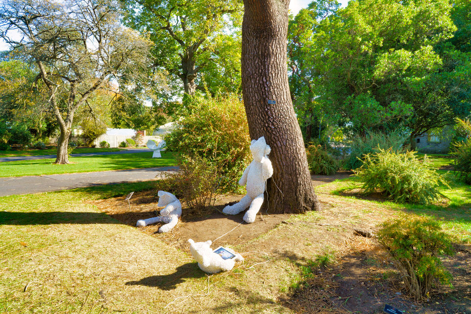  Patricia Donnelly The Art And The Artist