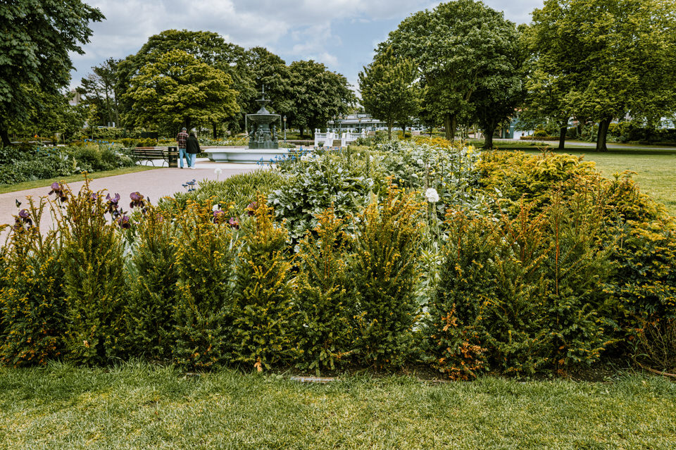  The People's Park In Dun Laoghaire