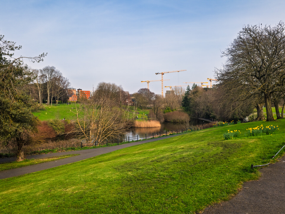  The Pond Area 