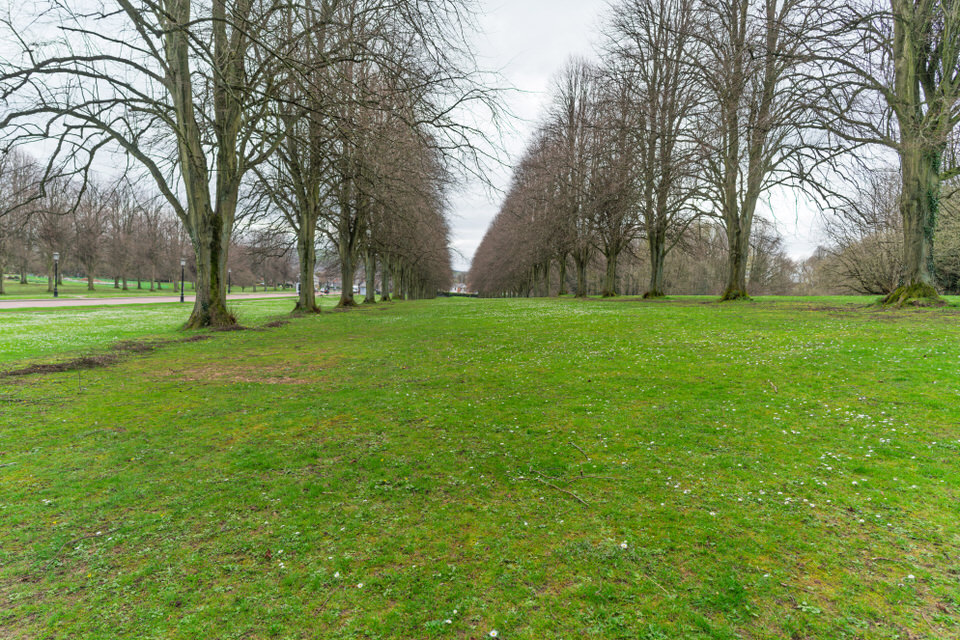  The Prince Of Wales Avenue Stormont 