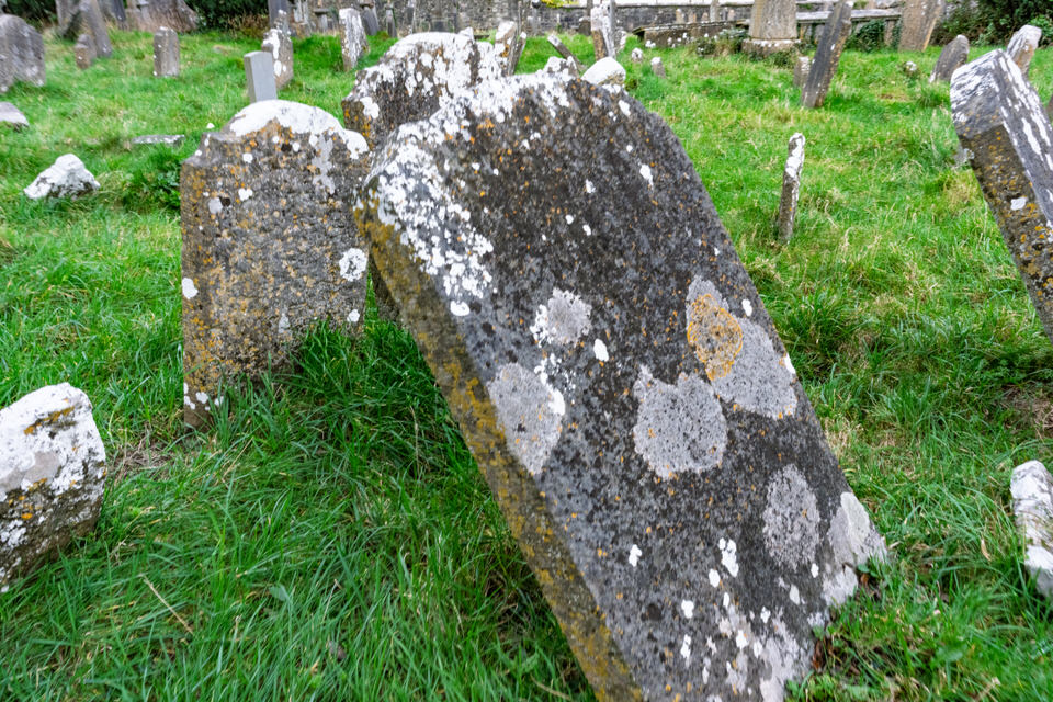 Saint Johns Old Churchyard Kilkenny