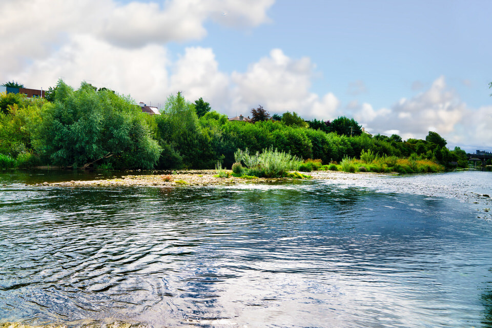 Bishopmeadows Walk August 2018