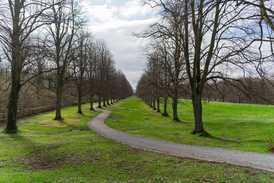 Exploring The Stormont Estate March 2019