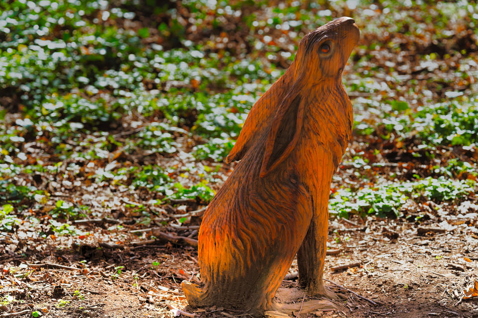 Stormont Nature Trails 2019