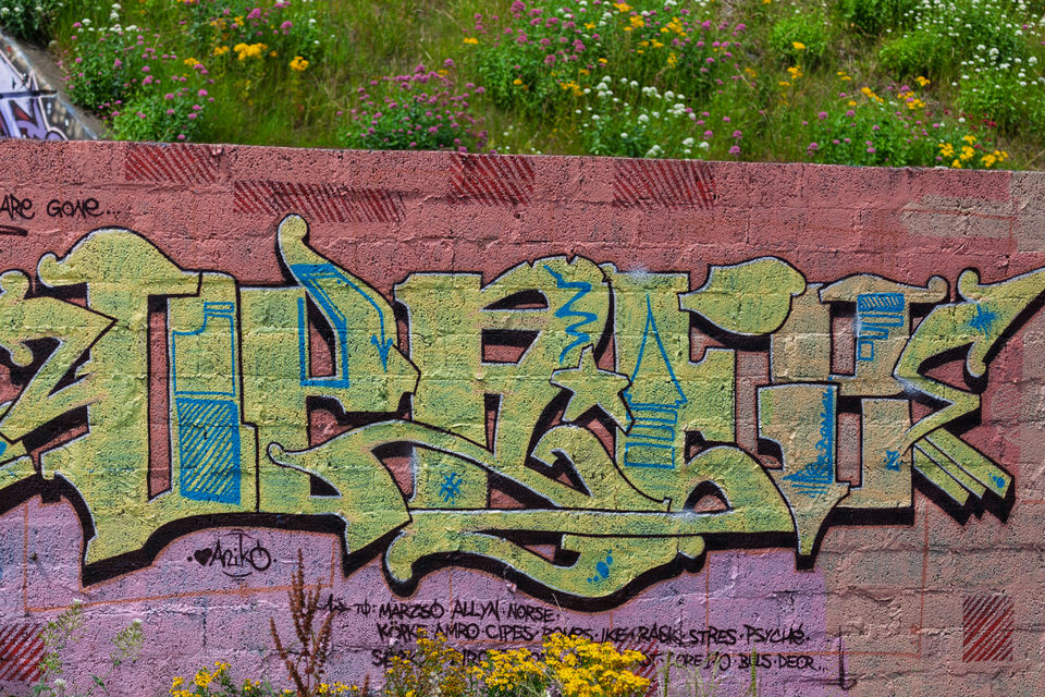  Legacy Images Drogheda Street Art 2009 