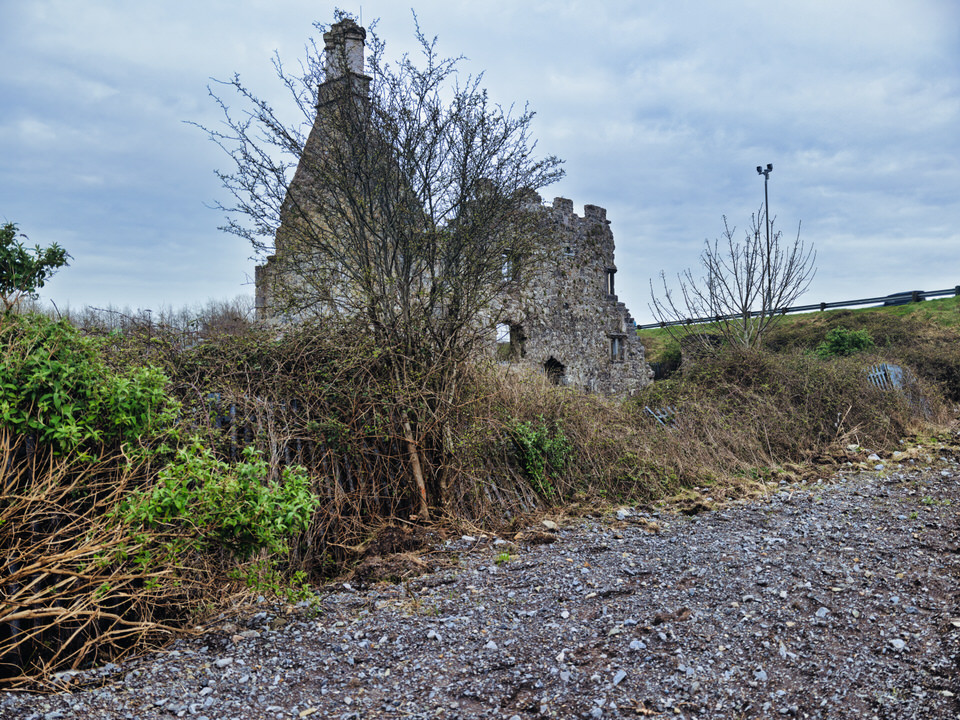  Terryland Castle In Galway