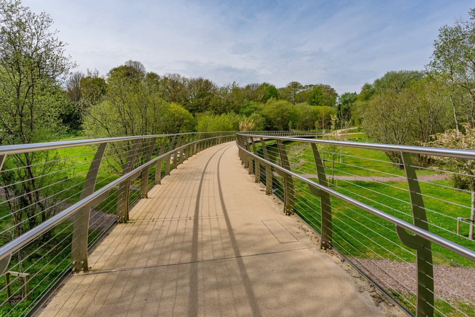  Elevated Tree Walkway In Cork 