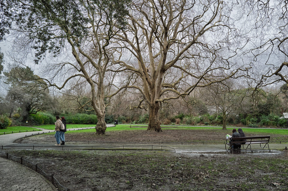  St Stephens Green Was Waterlogged 