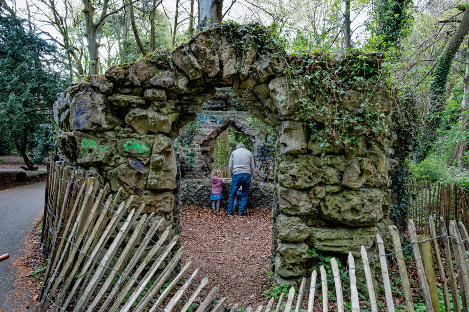  The Woods And The Shell House