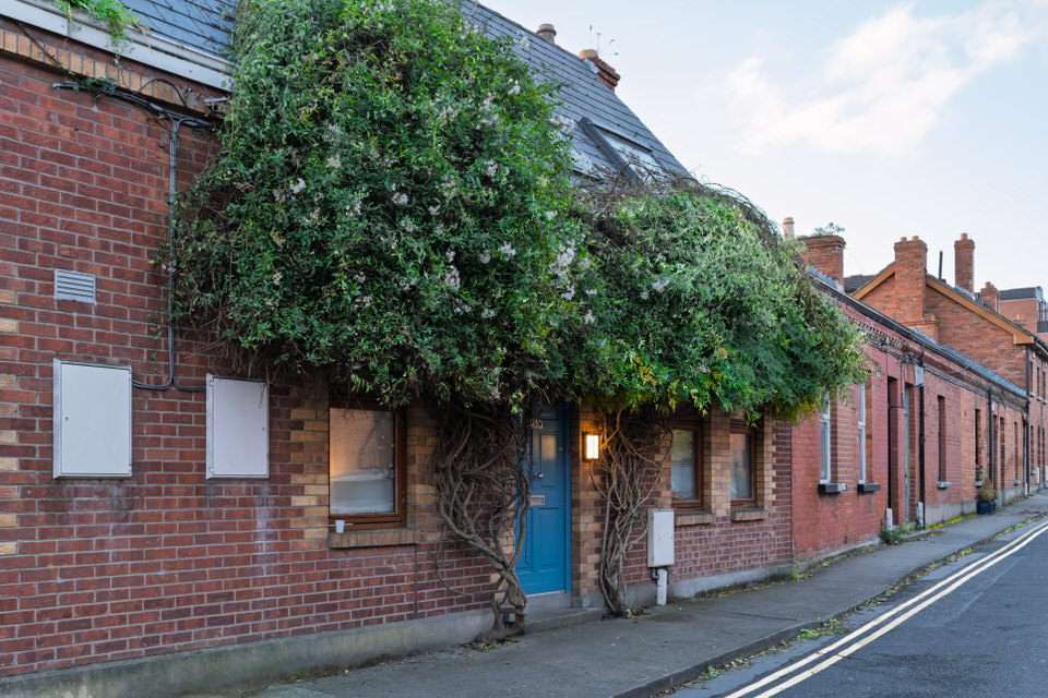 A Movember Marvel in Dublin not far from the Hungry Tree at Kings Inns