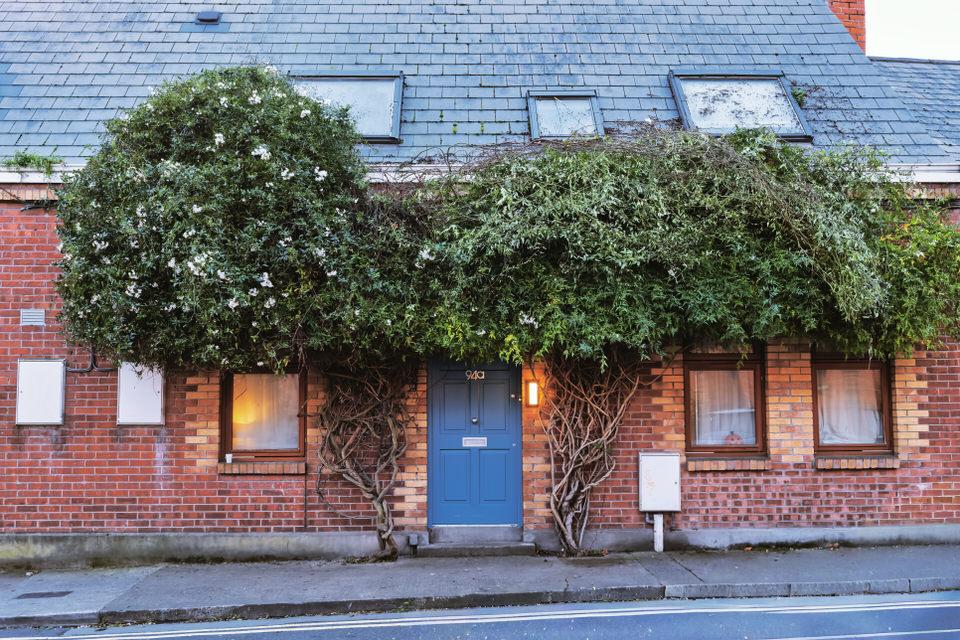 A Movember Marvel in Dublin not far from the Hungry Tree at Kings Inns